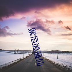 紫恒逍遙仙