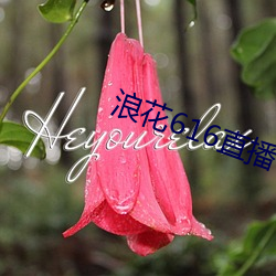 浪花616直(直)播