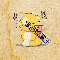 极品捡漏王(王)
