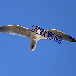 沉默(默)影院