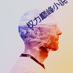 权力巅峰小说