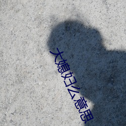 金年会(中国)官方网站