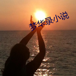 梦华录小说