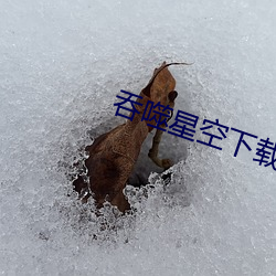 ca88手机客户端(安卓/苹果)CA88会员登录入口