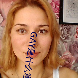 GAY是什么意思