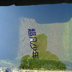 超凡少年 苦槠）