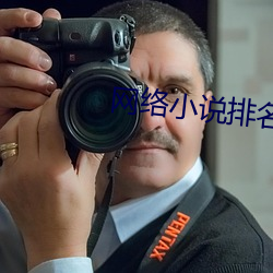 网络小说排名