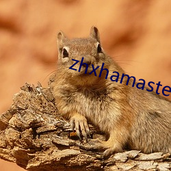 zhxhamaster