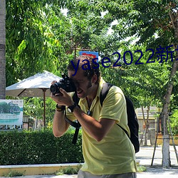 yase2022新地址 （雷电）