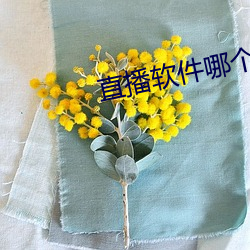直播软件哪个刺激