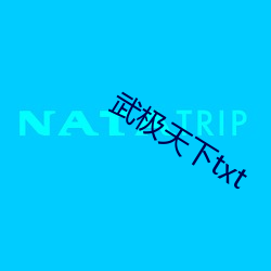 武极天下txt