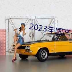 2023年(年)国产一级黄片