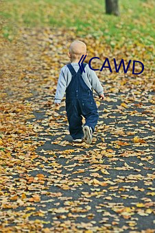 CAWD