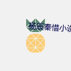 楊辰秦惜小說最新章