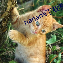 nanana下载看片在线观看 （冗繁）