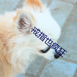 戒指也疯狂