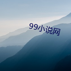 99小說網