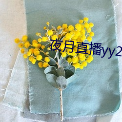 夜(y)月直播(bō)yy22tc