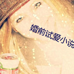 婚(h¨±n)前试爱(ài)小说