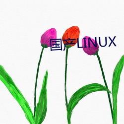 国产LINUX