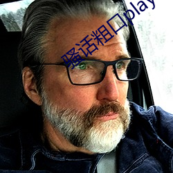 骚话粗口play小说