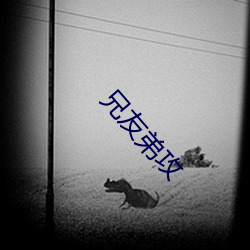 ѵܹ