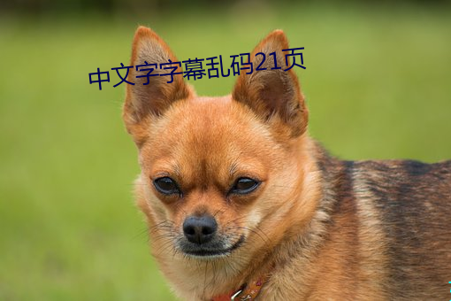 中文字字幕乱码21页