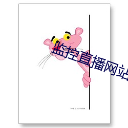 监控直播(播)网站