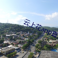 918博天堂·(中国)手机版客户端