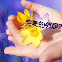 完美的鄰居2