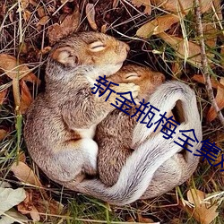 suncitygroup太阳集团--官方网站