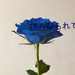 摘み取られて （寂天寞地）