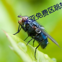 米乐M6·(中国)官方网站