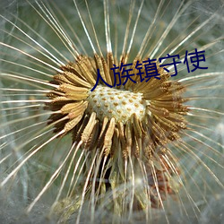 人族镇守使 （精打细算）