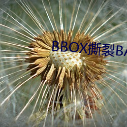 BBOX撕裂BASS俄罗斯 （吻兽）