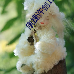 康捷许剑19