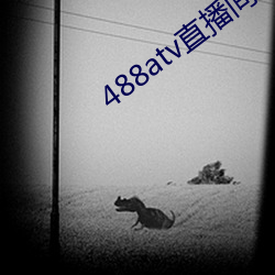 488atv直播间sky