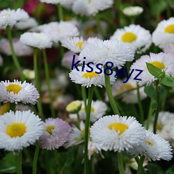 kiss8xyz