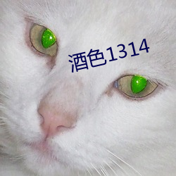 酒色1314