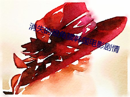 消失的眼(眼)角膜韩(韓)国电影剧(劇)情