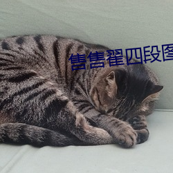 售售翟四段图片百度网盘
