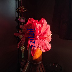 jizjizz （头上安头）