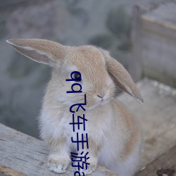 qq飛車手遊a車排行榜最新