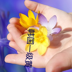 韩国一级黄