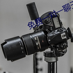 免(min)费一对一聊(liáo)天平台