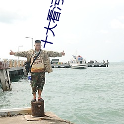 十大看汙染件
