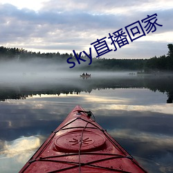 sky直播回家