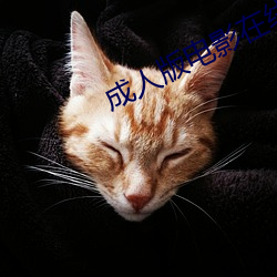 成人(人)版影戏(影)在(在)线寓目(看)