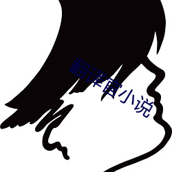 翻译官小说 摄理）
