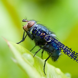 1024无限破解版永久下载